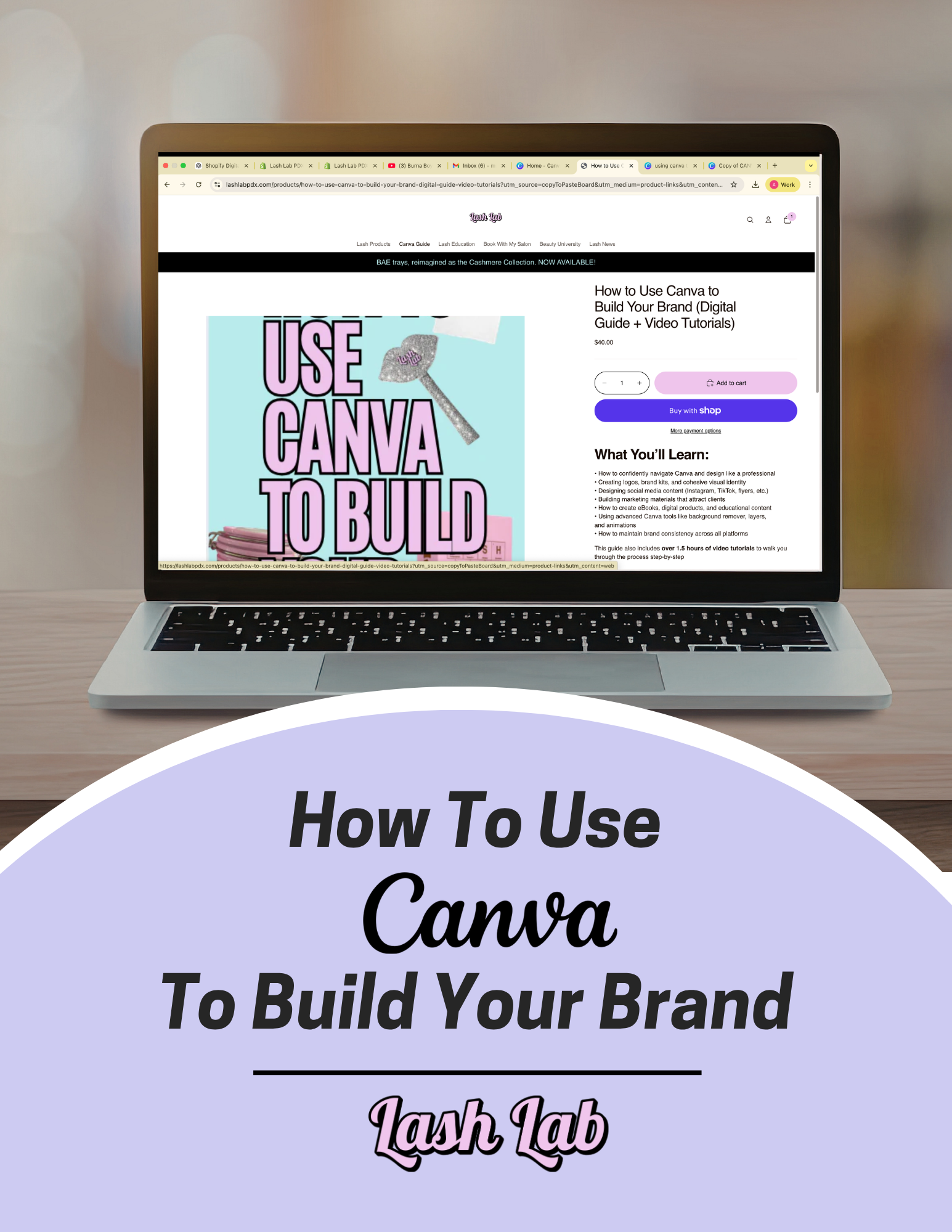 How to Use Canva to Build Your Brand (Digital Guide + Video Tutorials)
